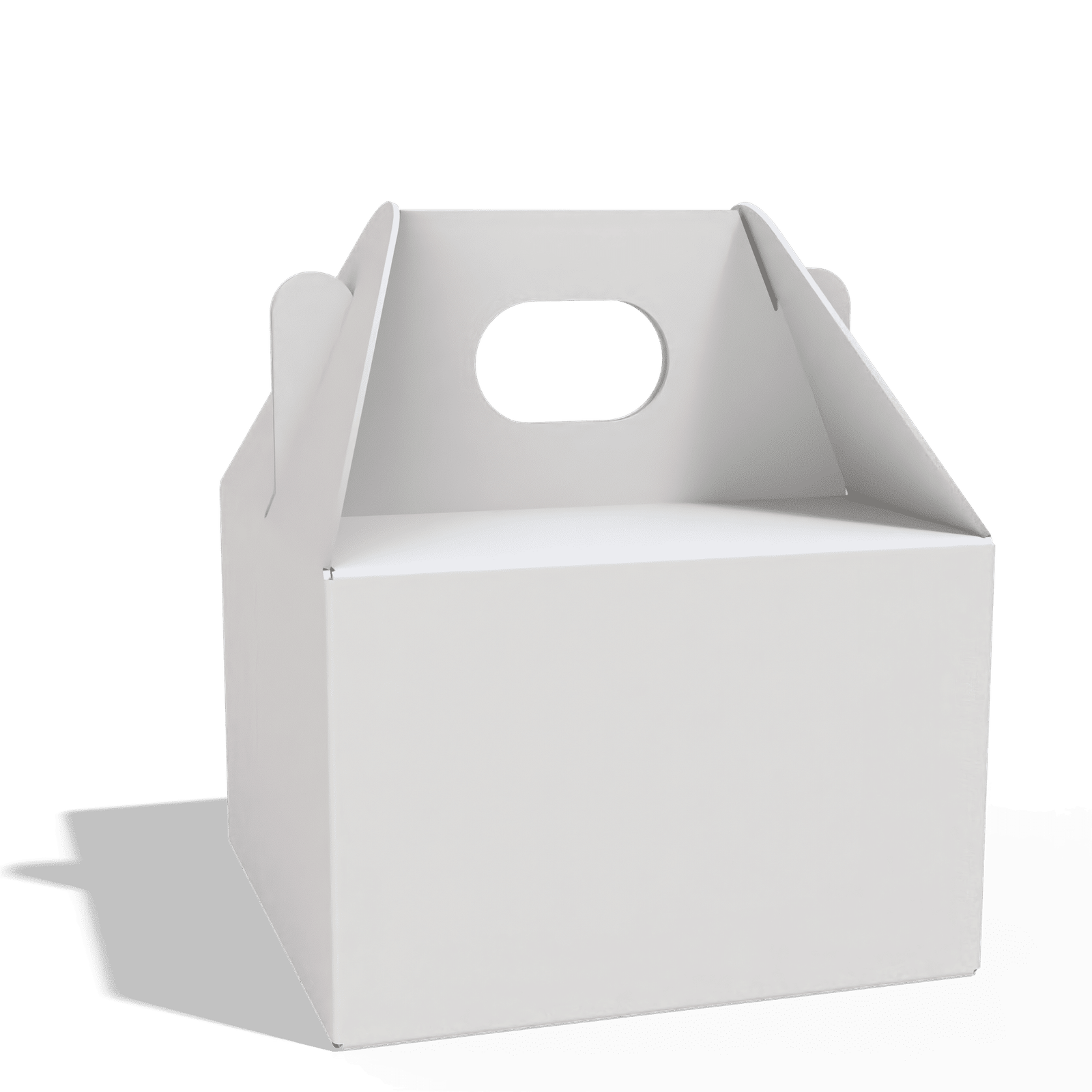 Render_Mockup_1920_1920_2026-02-03 (60)