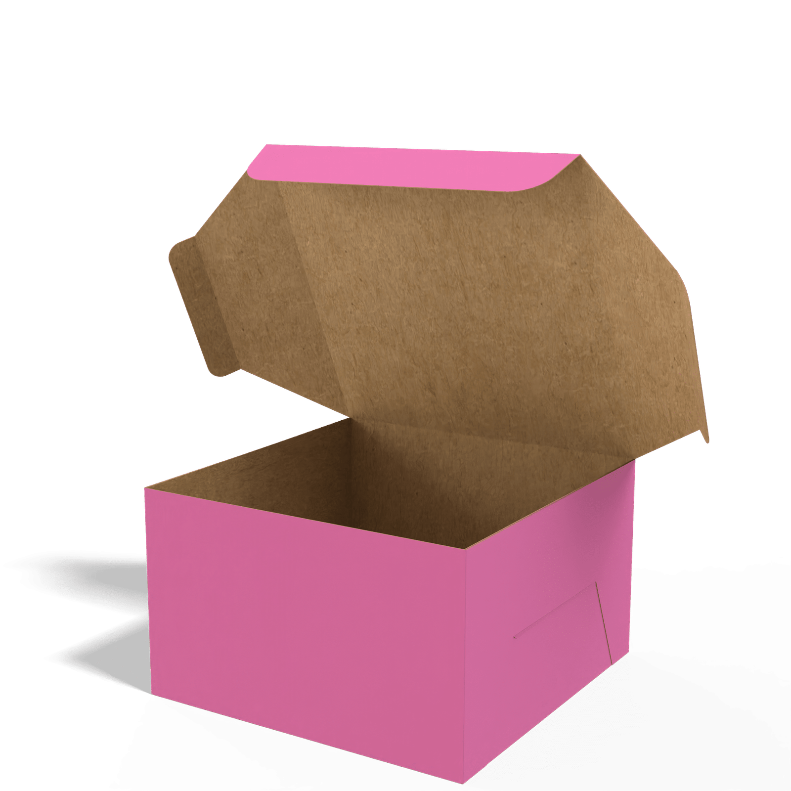 Render_Mockup_1920_1920_2026-02-05 (1)