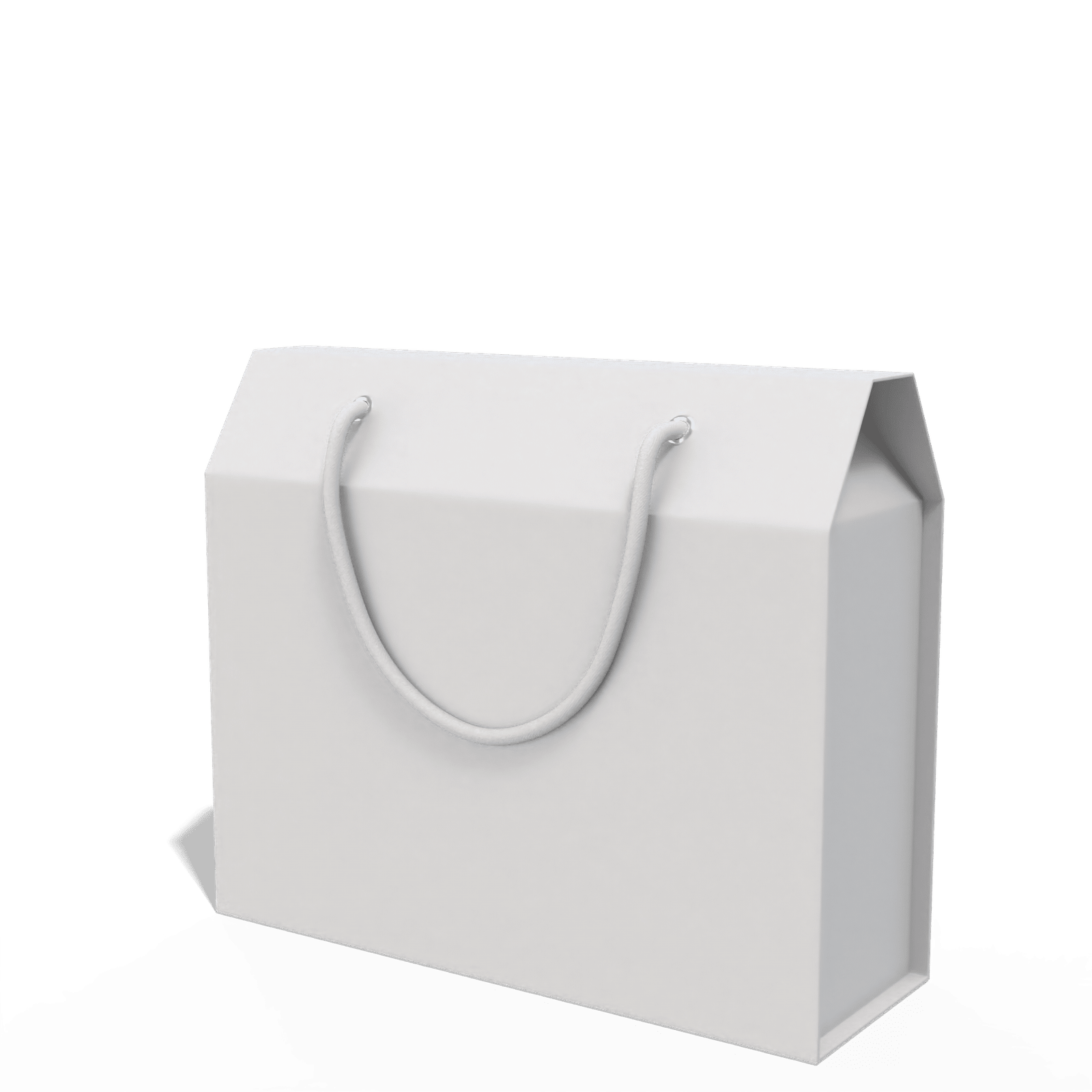 Render_Mockup_1920_1920_2026-02-08 (38)